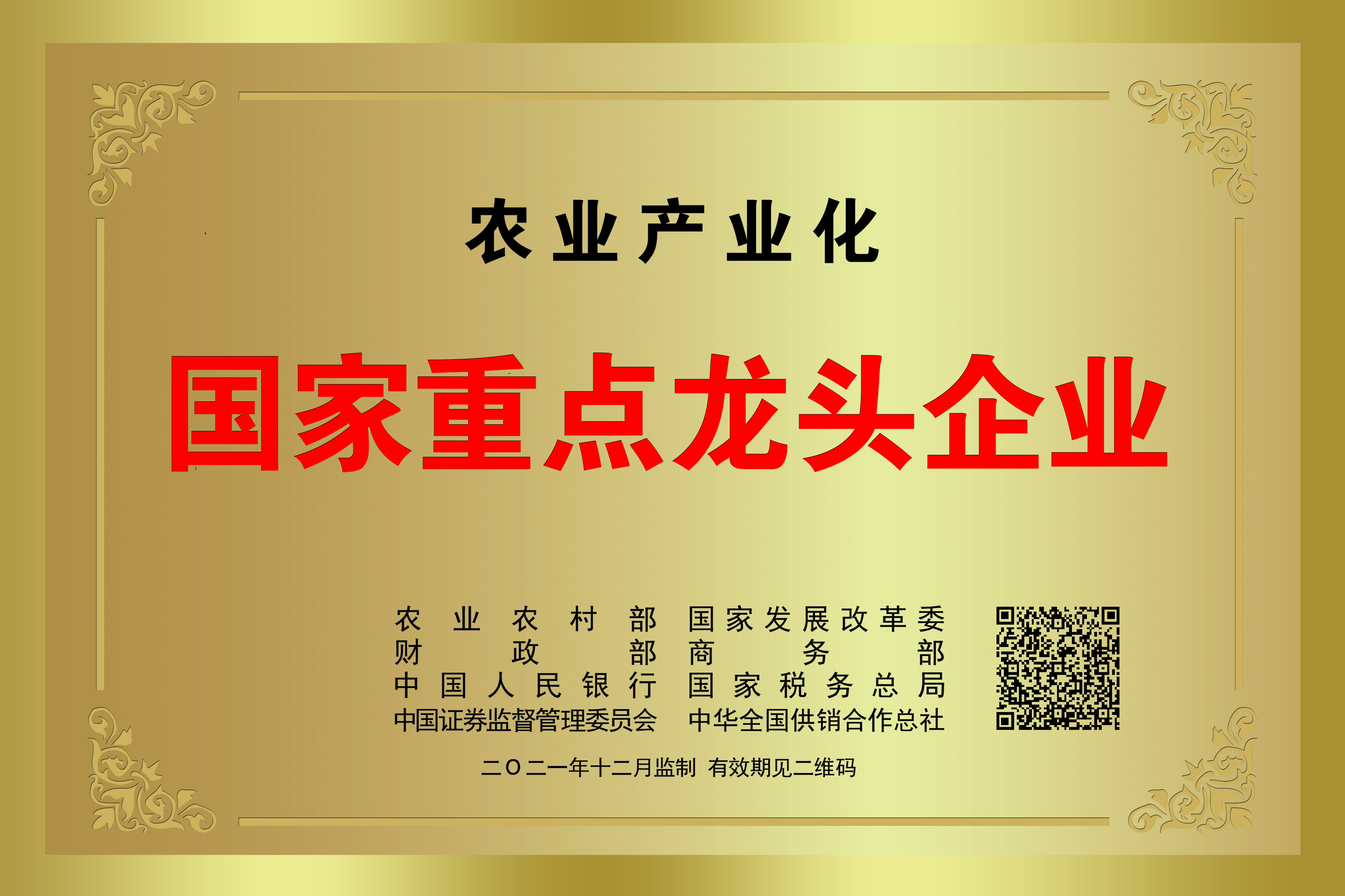 國家重點(diǎn)龍頭企業(yè)